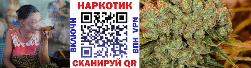 Магазины продажи наркотиков Прохладный Канабис  ГАШИШ 