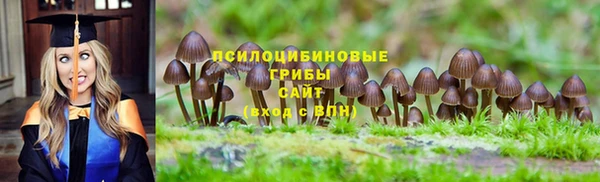 марки nbome Алзамай