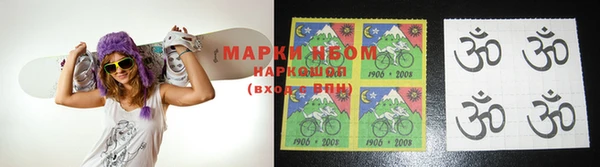гидра Елизово