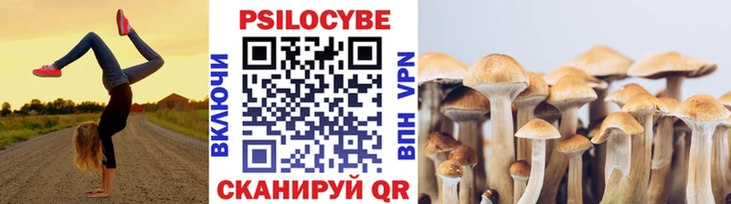 Галлюциногенные грибы прущие грибы  Прохладный 